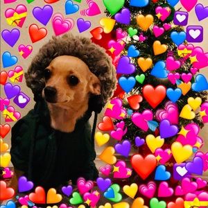 Meet your Posher, Valeria